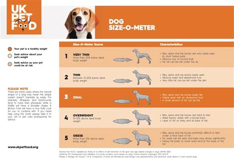How to Maintain a Healthy Weight for Your Dog | All About Dog Food