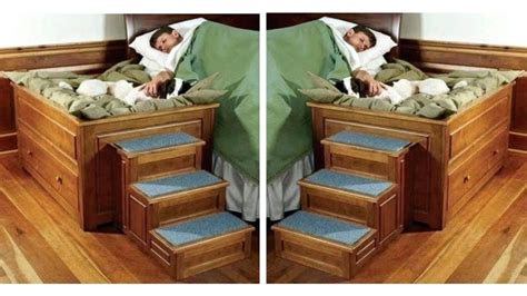 Check Out This Elevated Bedside Pet Bed With Stairs