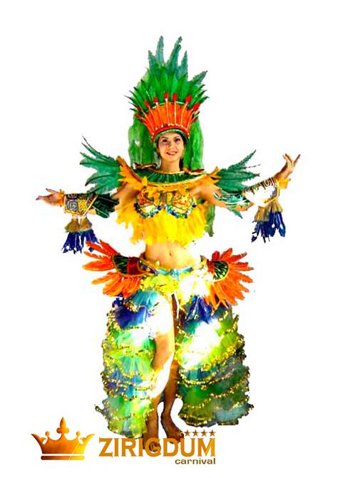 Can Can Brazilian Carnival Costumes | Zirigdum Carnival Costumes