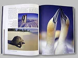 Nature Photography Books - 'The Best of Nature Photography' from Amherst Media, Inc., Nature ...