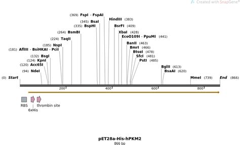 Addgene Pet A His Hpkm Sequences