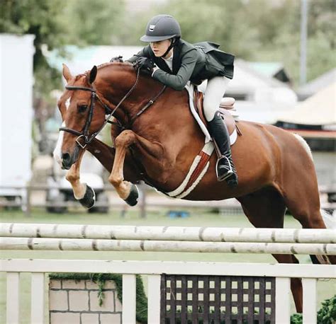 225 Unique Names For Chestnut Horses Of All Shades – Horse FactBook