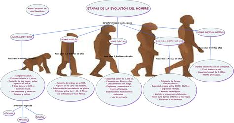 Dibujo De La Evolucion Del Hombre Nuestra Inspiración