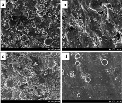 SEM Micrographs Showing For The Standard Specimen The Surface