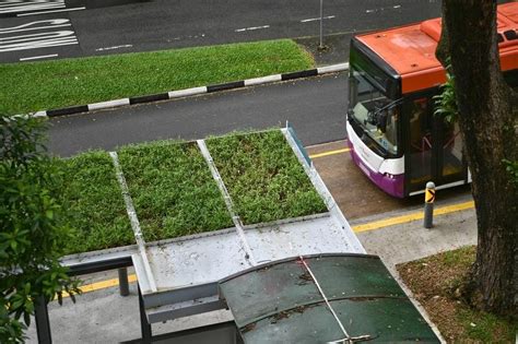 Lta Nparks Plant A Cool Idea At Bus Stops Islandwide The Straits Times