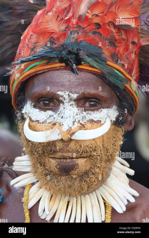 Stammesangeh Rige Papua Neuguinea Fotos Und Bildmaterial In Hoher