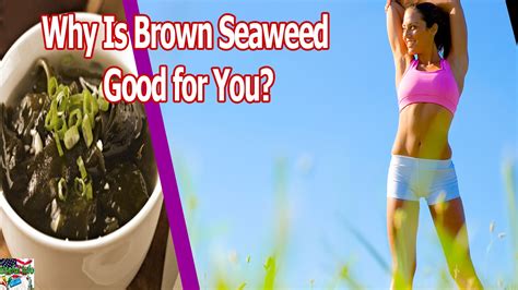 Why Is Brown Seaweed Good For You Youtube