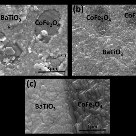 Scanning electron micrographs for samples (a) x=0.5 (b) x=0.8 and (c ... 