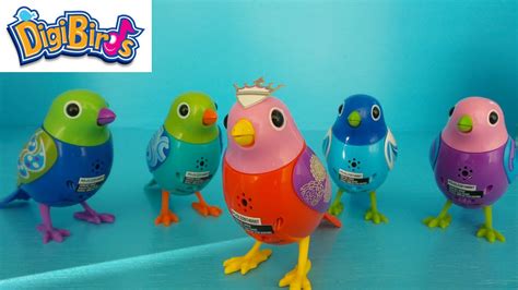 5 DIGIBIRDS UITPAKKEN ~UNBOXING 5 DIGIBIRDS - YouTube
