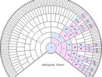 57 DNA Inheritance Charts for Genetic Genealogy ideas | dna test, genealogy, dna