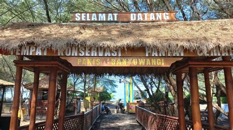 5 Wisata Dekat Stasiun Banyuwangi Ada Pantai Hingga Hutan