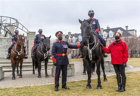 Calgary Police Service Adds New Equine Member To Mounted Unit