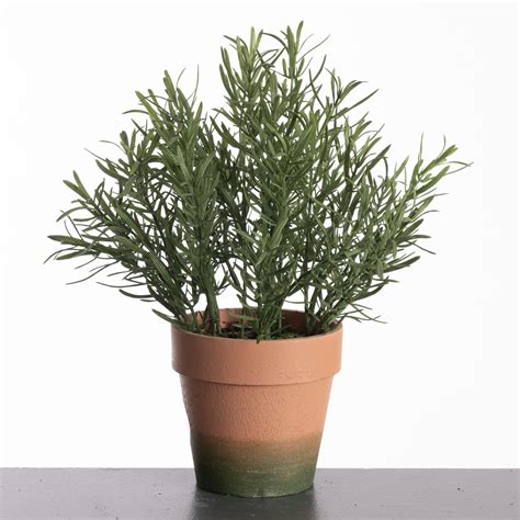 Artificial plant Rosemary green in pot 29cm - Eliassen.nl