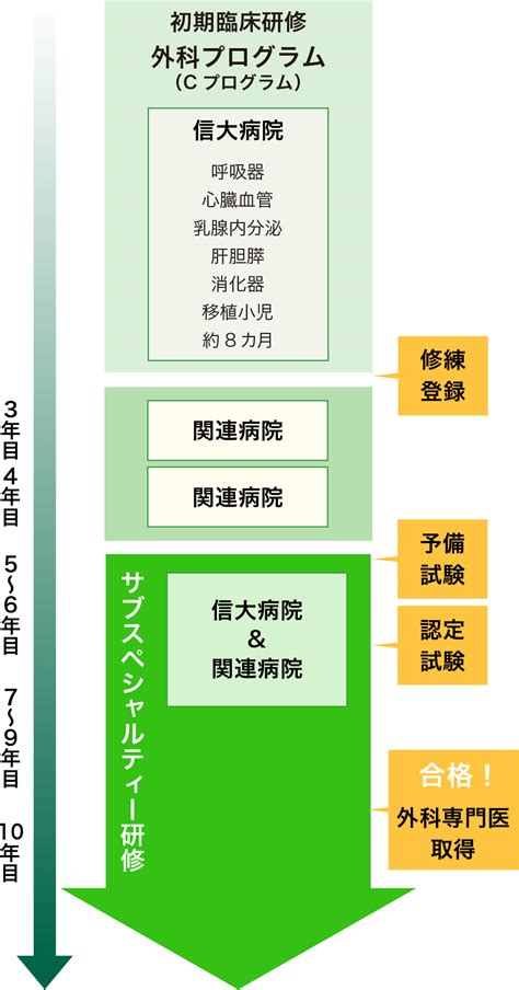 専門研修プログラム 研修医募集 信州大学 医学部外科学教室 呼吸器外科学分野