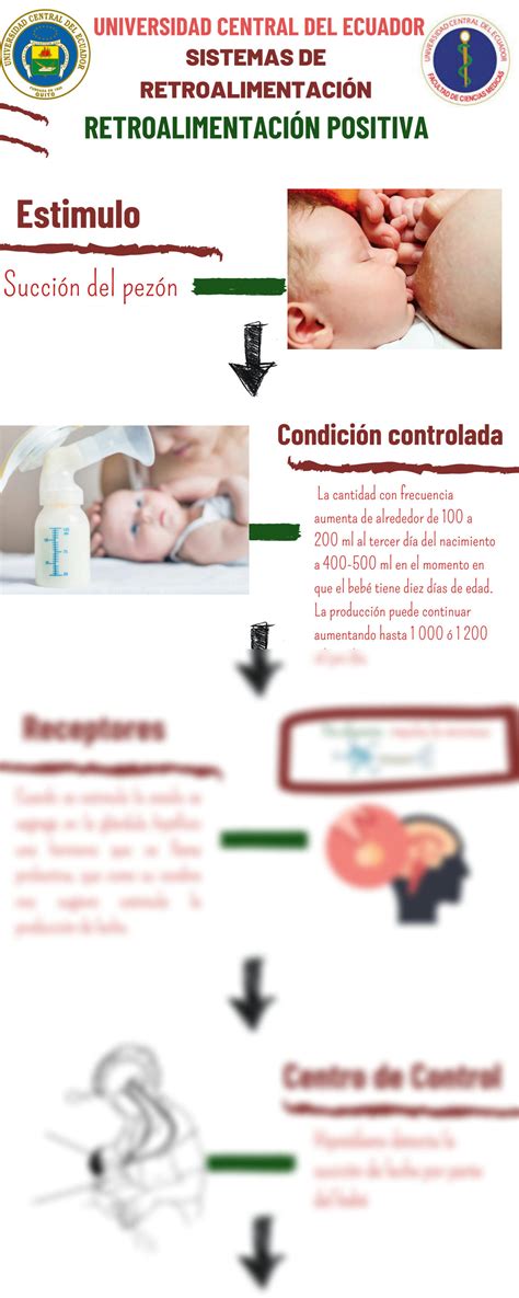 Solution Infograf A Ejemplos Sistemas De Retroalimentaci N Positiva Y