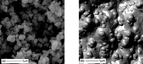 A TiO 2 Powder Imaged With SEM At 20 000X B Freeze Fractured Paint