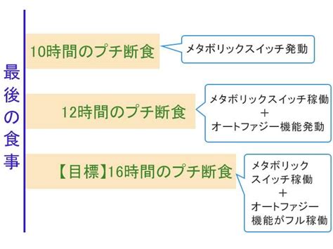 12時間 食事 ダイエット