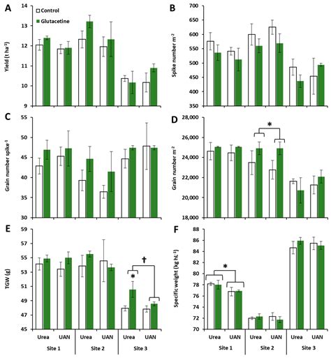 Plants Free Full Text Glutacetine® Biostimulant Applied On Wheat