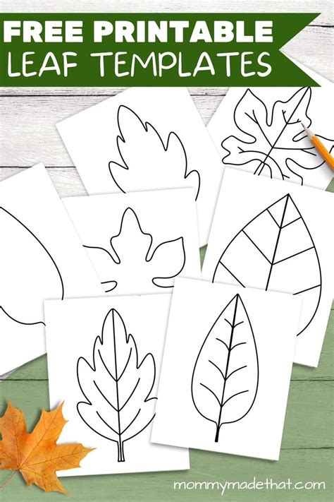 Over 16 Pages Of Printable Leaf Templates Perfect For Fall Leaf Craft