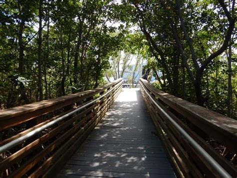 Black Creek Trail, FL Biking, Miami-Dade. E-Z Map, 20+ Photos.