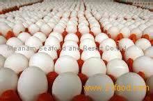 Fresh Chicken Table Eggs Fertilized Hatching Eggs Fresh Hatching