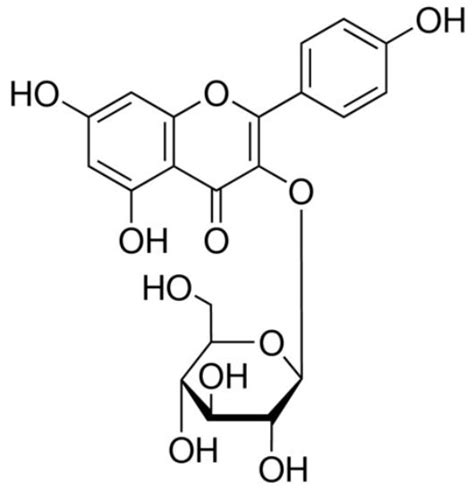 山柰酚 3 葡萄糖苷 紫云英苷 ，kaempferol 3 Glucoside；≥970 Hplc