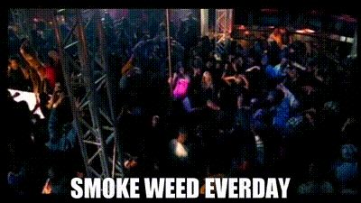 Snoop Dogg Smoking Weed Everyday