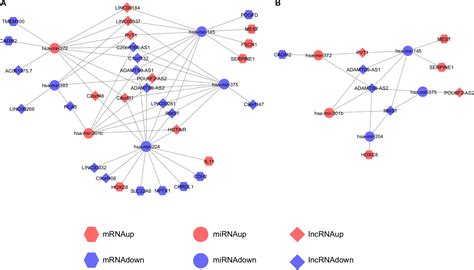 Robust Analysis Of Novel Mrnalncrna Cross Talk Based On Cerna H Cmar