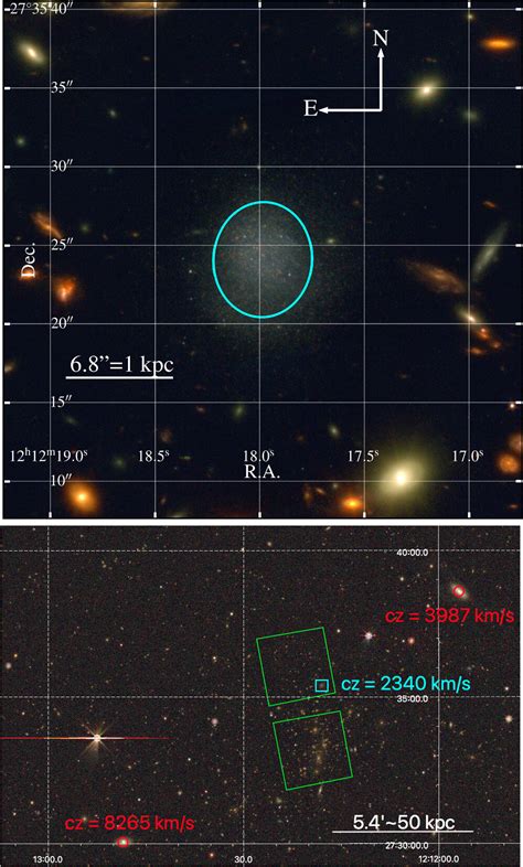 The James Webb Space Telescope Accidentally Discovers A Galaxy That