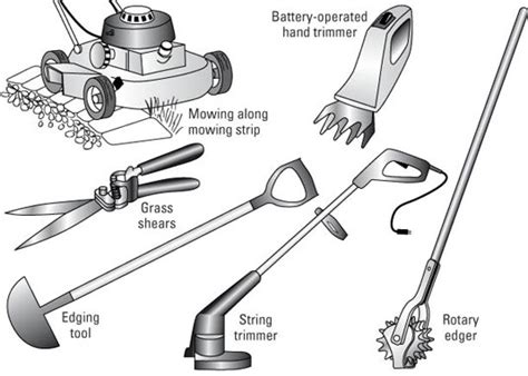 How To Trim Your Lawn Dummies