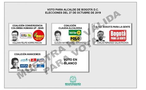 ¿qué Pasa Si Gana El Voto En Blanco Mitos Y Verdades