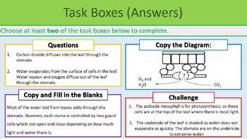 Plant Cell Organisation Gcse Biology By Troilo Science Tpt