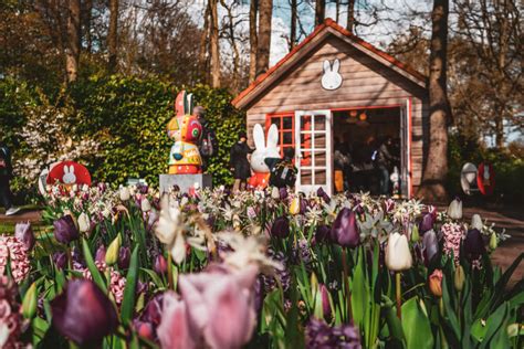 Keukenhof Gardens 2023 Guide for 1st Timers: Tips, Discounts & More!