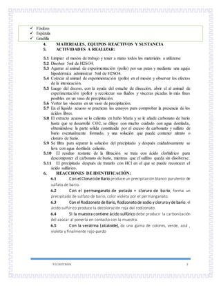 Intoxicacion Por Acido Sulfurico Practica Pdf