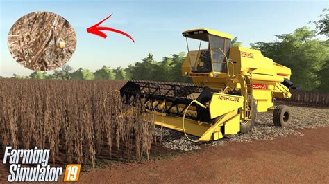 DEU RUIM A SAFRA DE SOJA Farming Simulator 2019 FAZ JATOBA