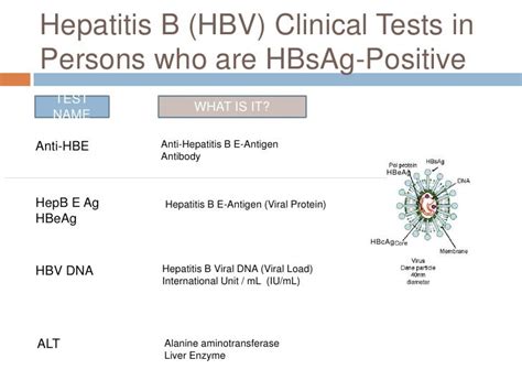 Hep B And C Screening And Management Simons Towns