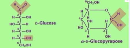 Biochem Exam 2 Umich Flashcards Quizlet