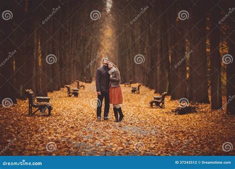 Couple In Love Walking On A Beautiful Autumn Alley In The Park Stock