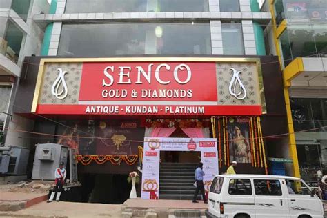 Sale Senco Gold Near Me In Stock