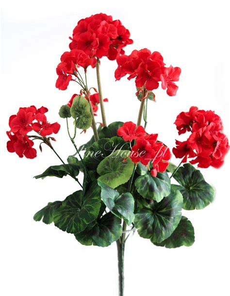 PELARGONIA SZTUCZNE PELARGONIE BUKIET ELINEHOUSE KWIATY BALKON TARAS