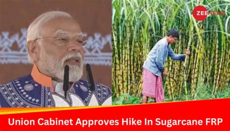 Modi Government Approves Hike In Sugarcane Procurement Prices Amid