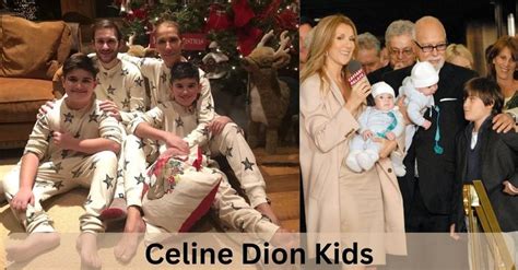 Celine Dion's Miraculous Motherhood Journey