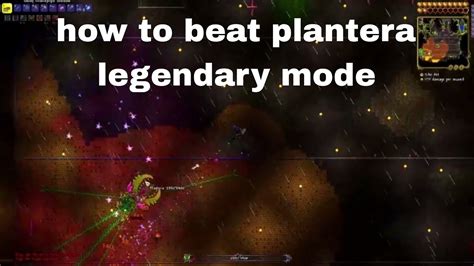 How To Beat Plantera Legendary Mode Terraria Youtube