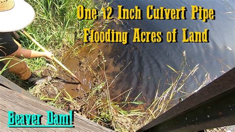 Unclogging A Culvert Pipe Responsible For Multiple Properties Flooding