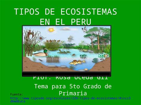 Pptx Tipos De Ecosistemas En El Peru To Primaria Dokumen Tips