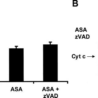 Aspirin Induced Apoptosis Is Prevented By Caspase Inhibitor ZVADfmk