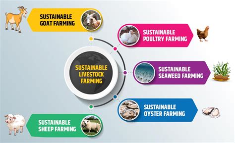 Sustainable Agriculture In India Types Benefits