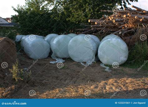 Agricultural Storage Lot Where Many Bales Of Hay Silage Wrapped In Foil ...