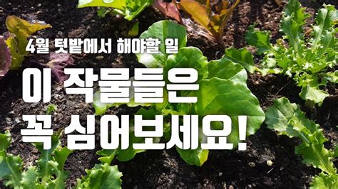 4월 주말농장에서 할 일 4월에 심는 작물 추천 도시농부 Urban Farming Youtube