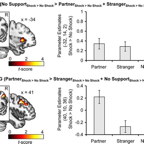 Intranasal Oxytocin Oxt Significantly Enhanced The Functional